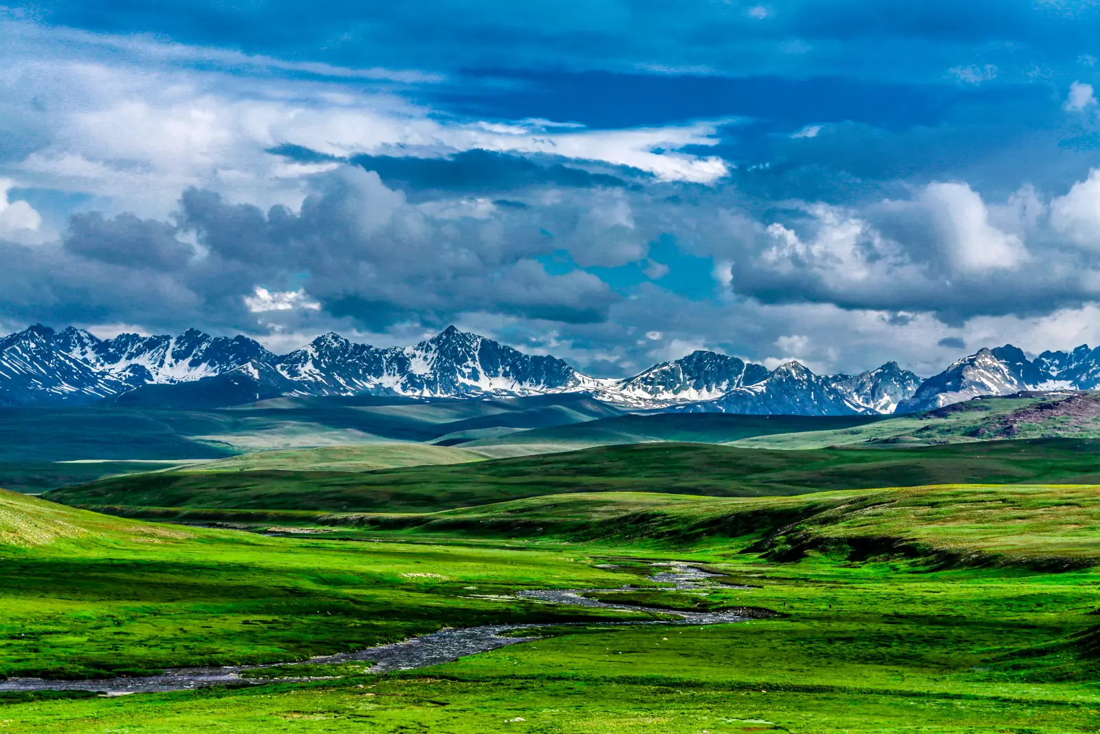 Dataran hijau Dataran Tinggi Deosai pada musim panas, dengan anak sungai berliku dan puncak Karakoram bersalji di belakang, Gilgit-Baltistan, Pakistan