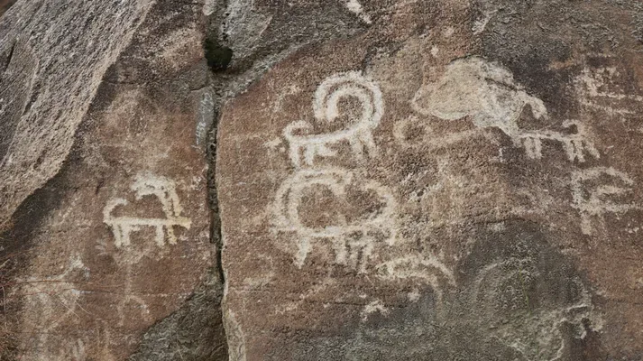 Ancient ibex petroglyphs carved into the Sacred Rocks of Hunza (Haldeikish), left by Silk Road travellers