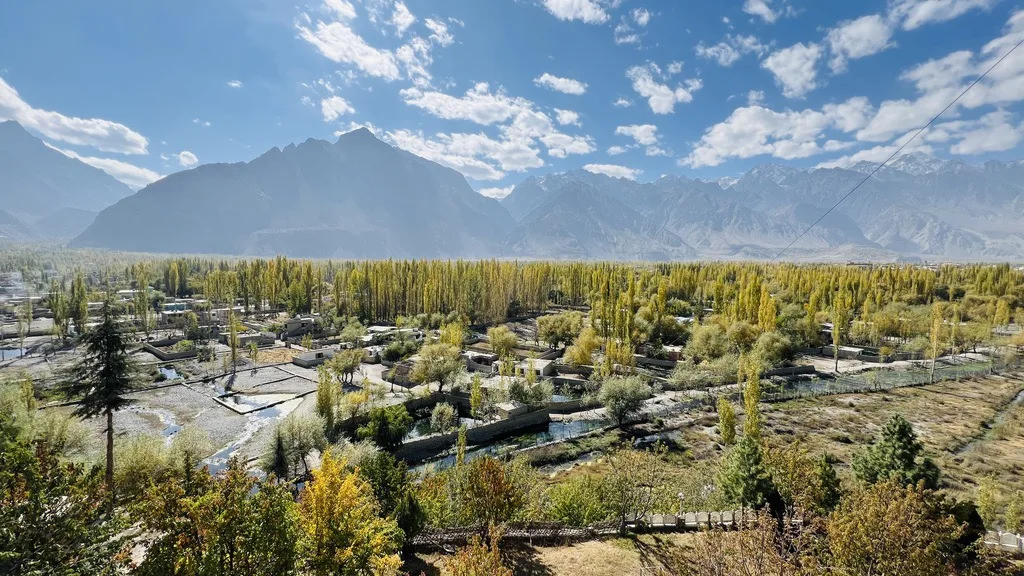 Golden autumn poplars across the Skardu valley below the Karakoram peaks under a clear blue sky, the best time to visit Skardu