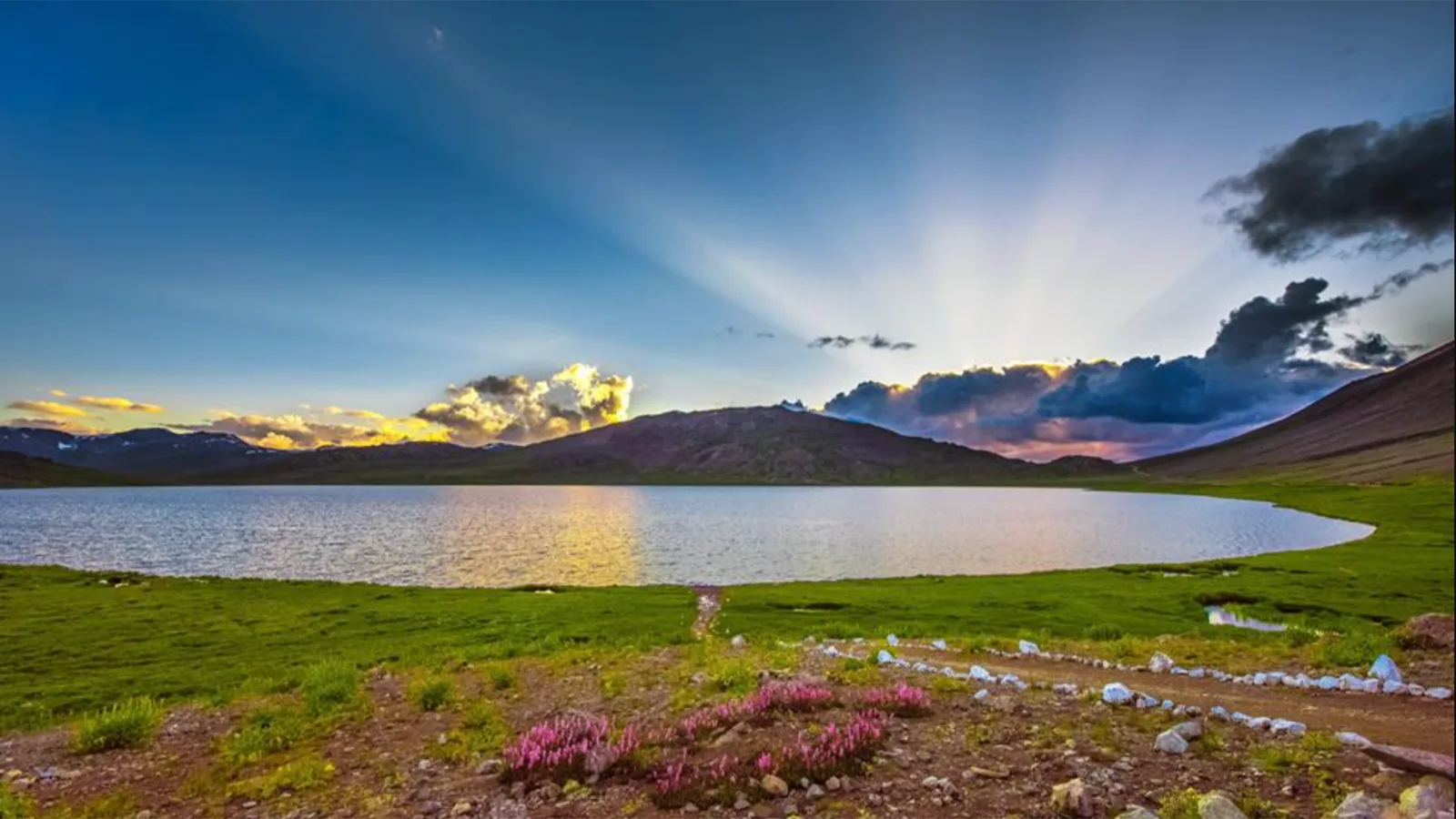 An alpine lake on the Deosai plateau near Skardu at sunset, with summer wildflowers and green meadows, Gilgit-Baltistan