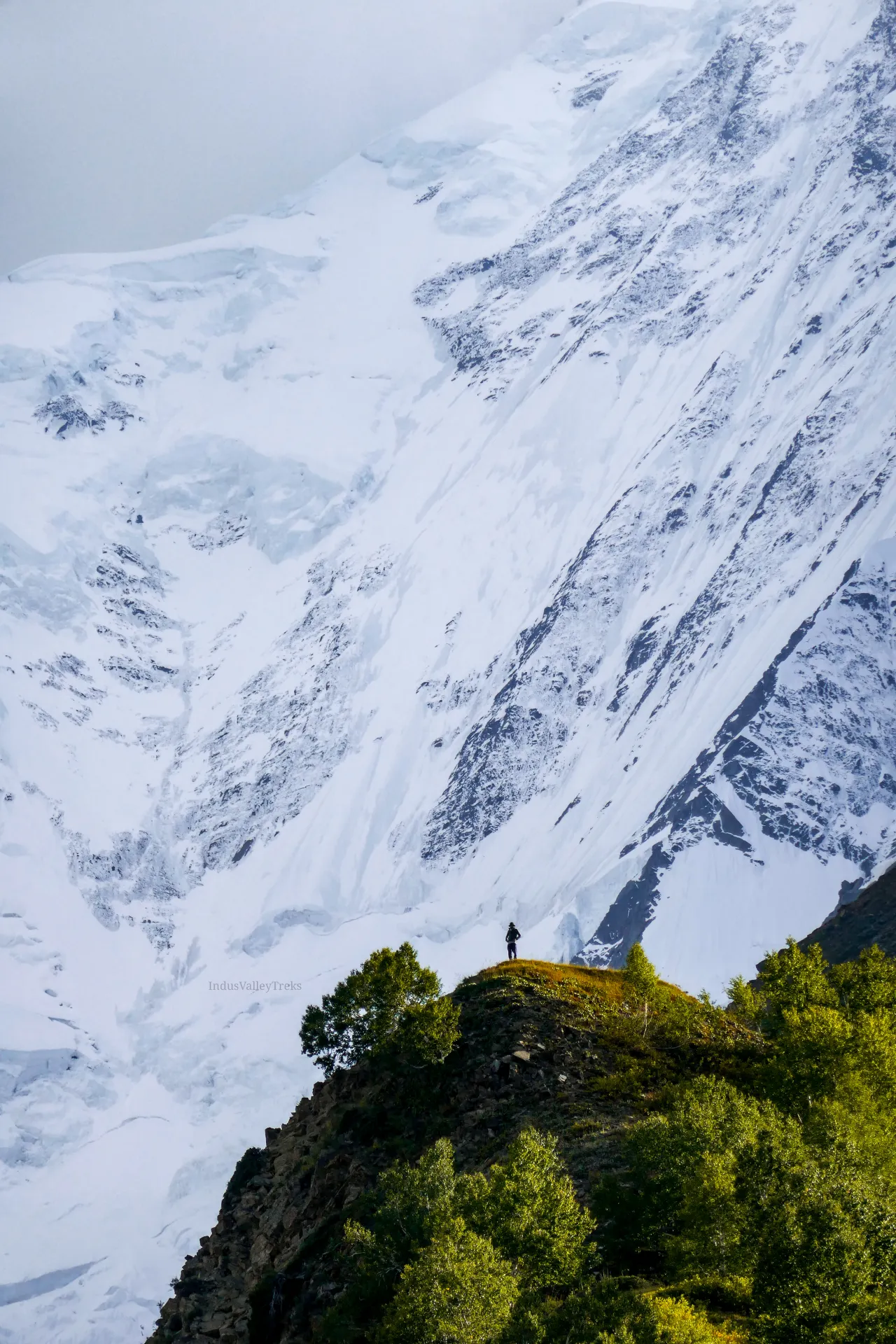 Lone trekker beneath the snow wall of Rakaposhi above the base camp