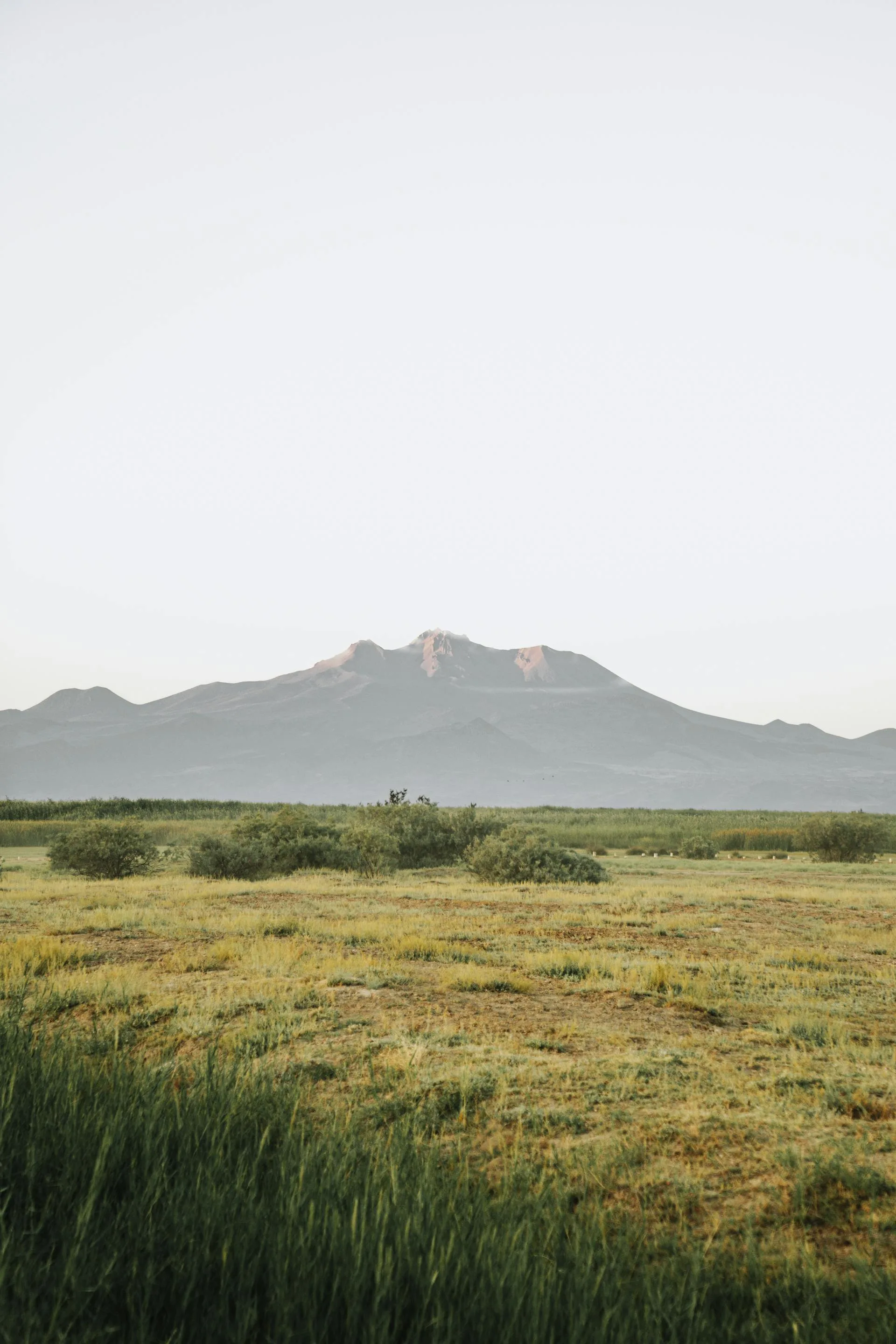 Sunset over grassland with mountain silhouettes