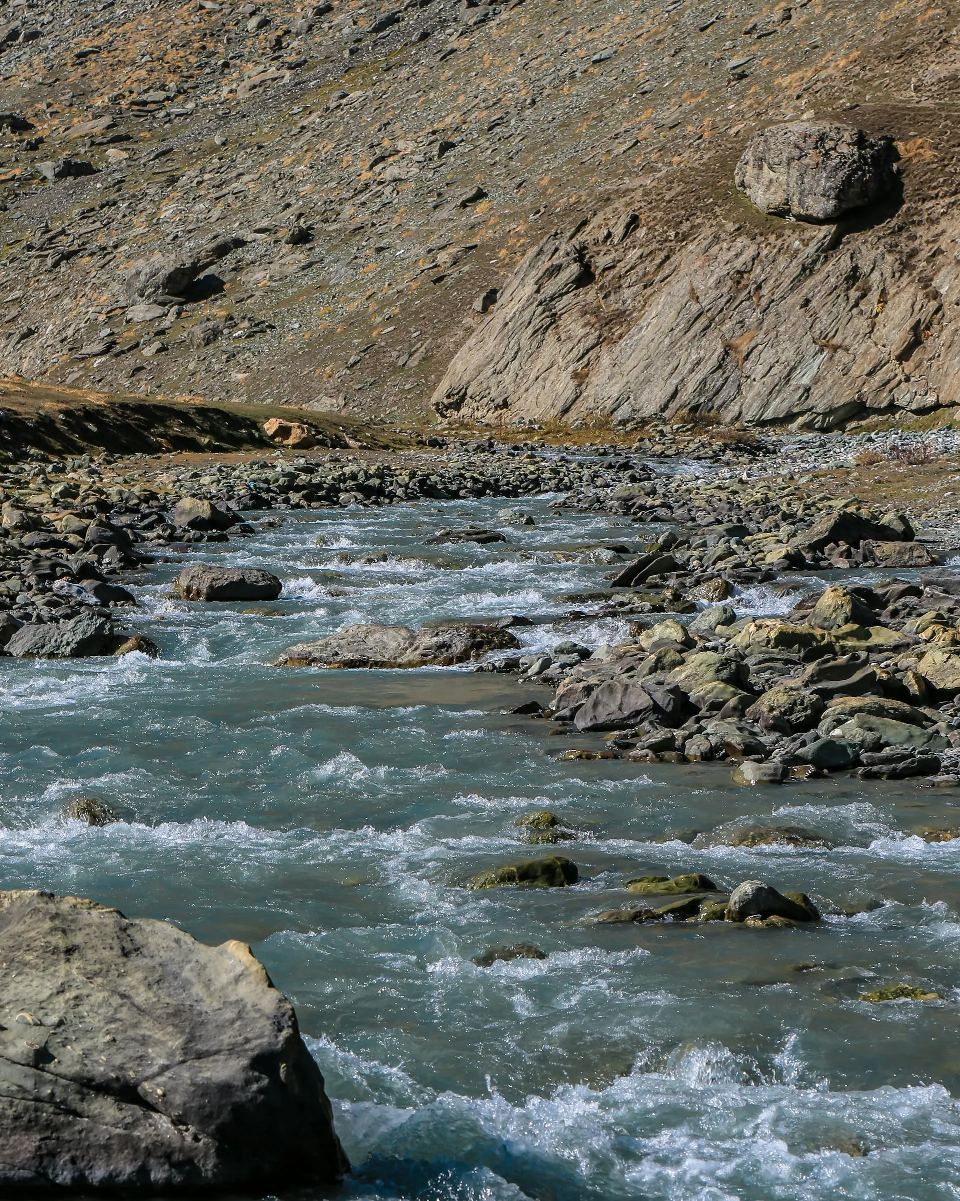 A crystal clear mountain stream flowing gently through the meadow