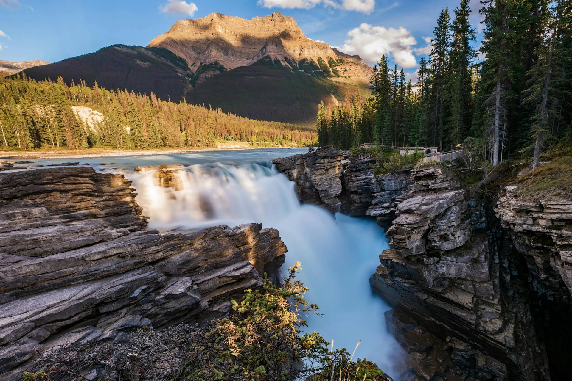 Green pine trees near waterfalls with mountains behind