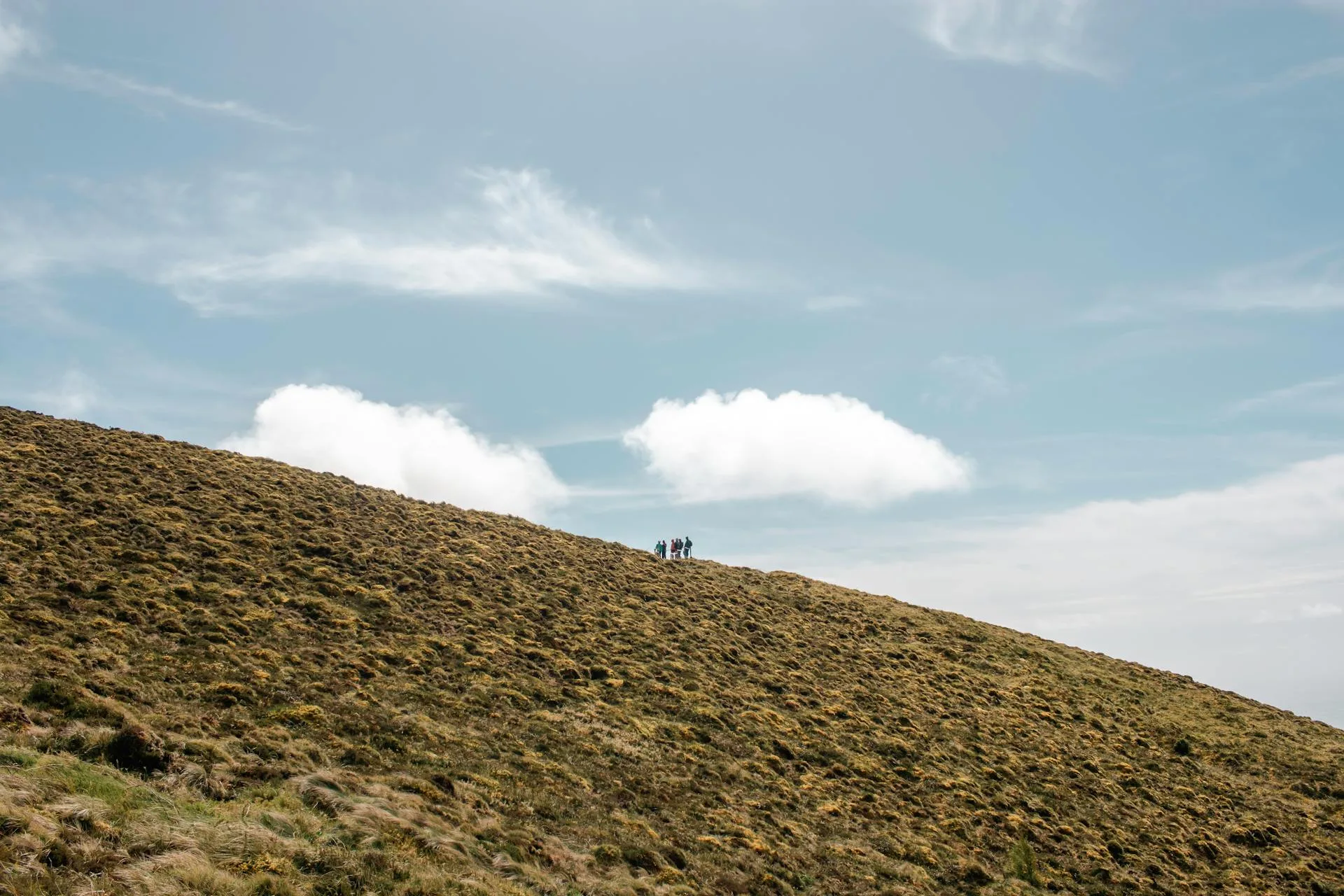 Group hiking on grassy hills under blue sky