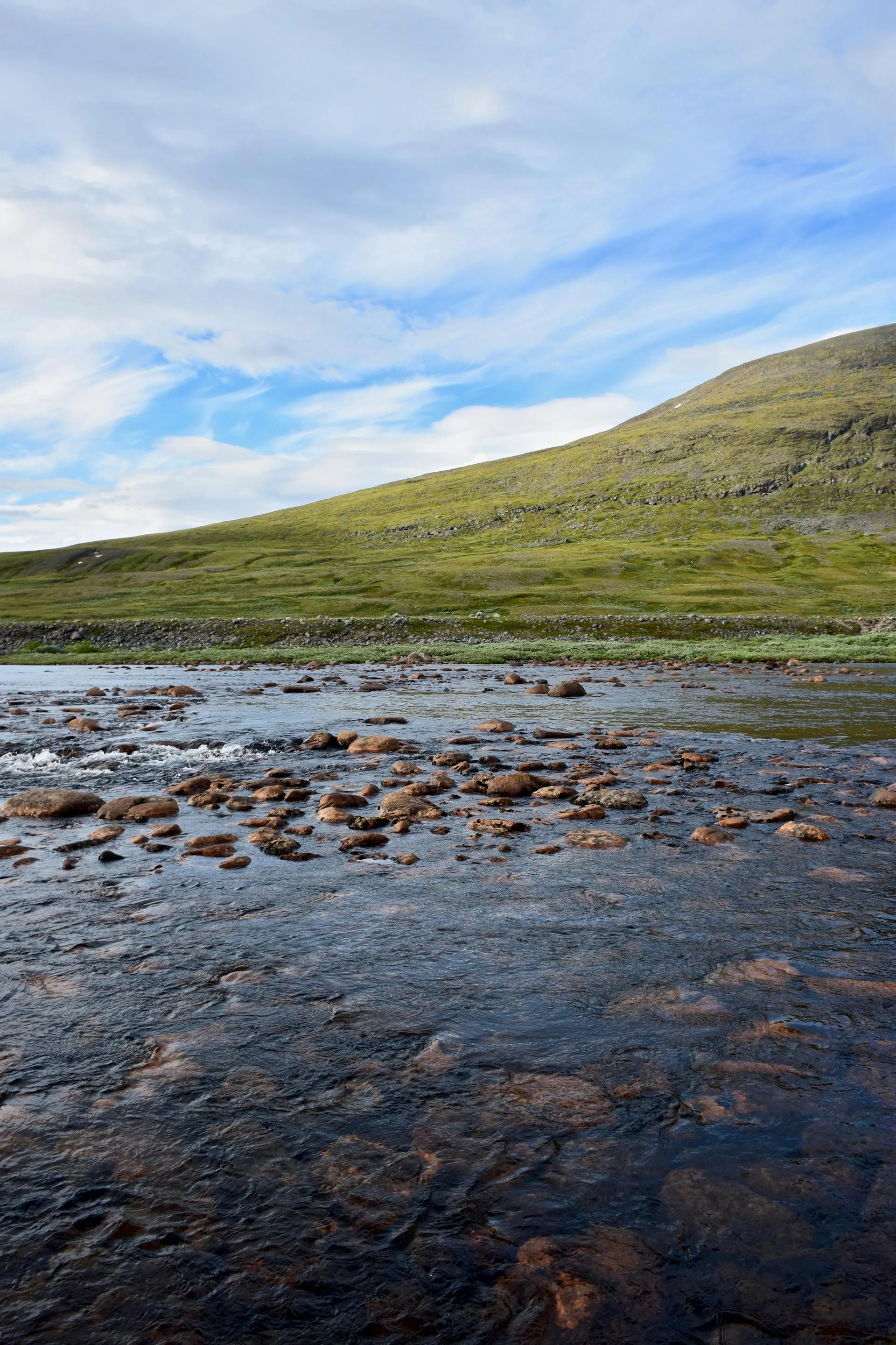 A lush green river valley surrounded by towering mountains