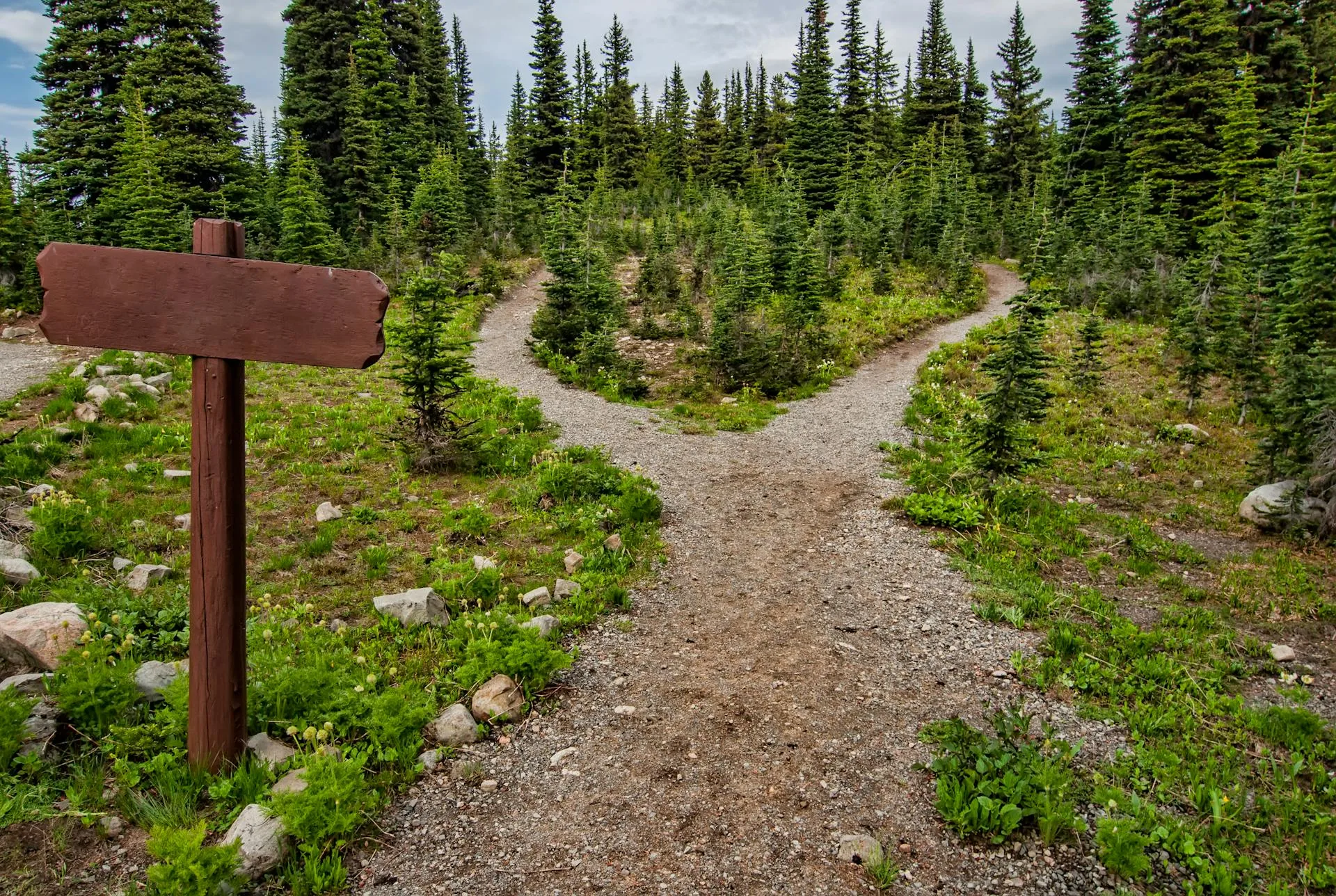 A lush green forested mountain landscape