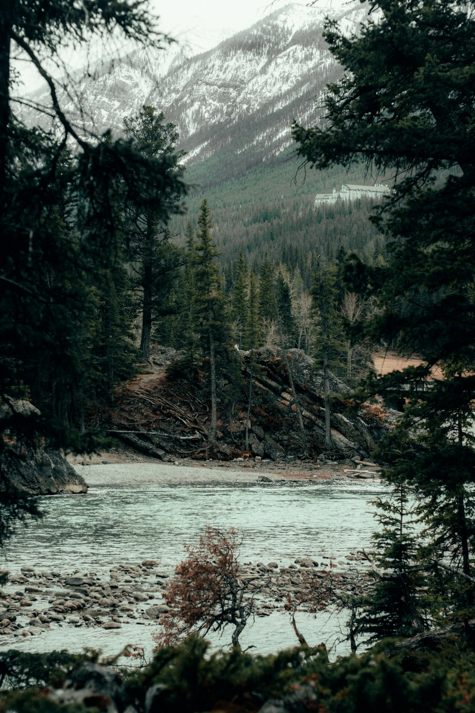 A mountain landscape with a river and pine trees in Chitral