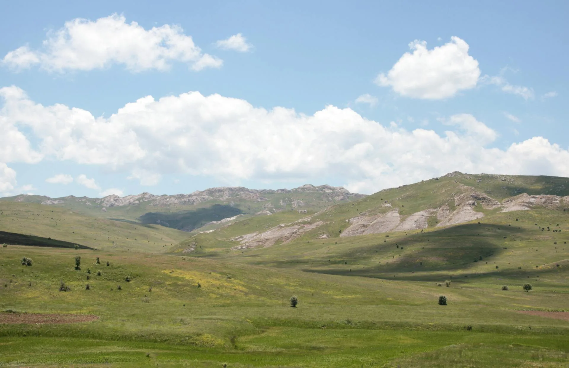 Green field mountains