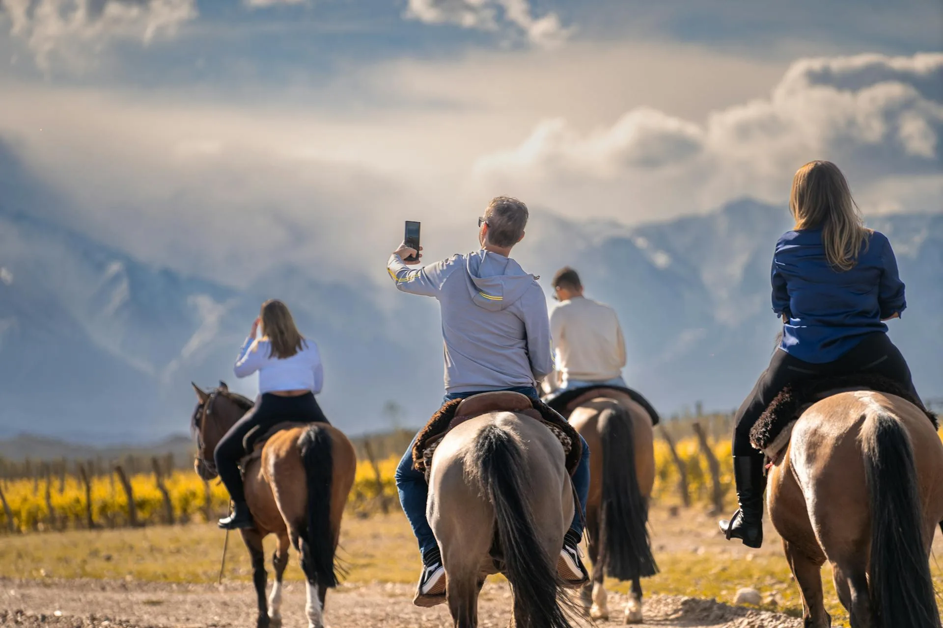 Horseback mountain field