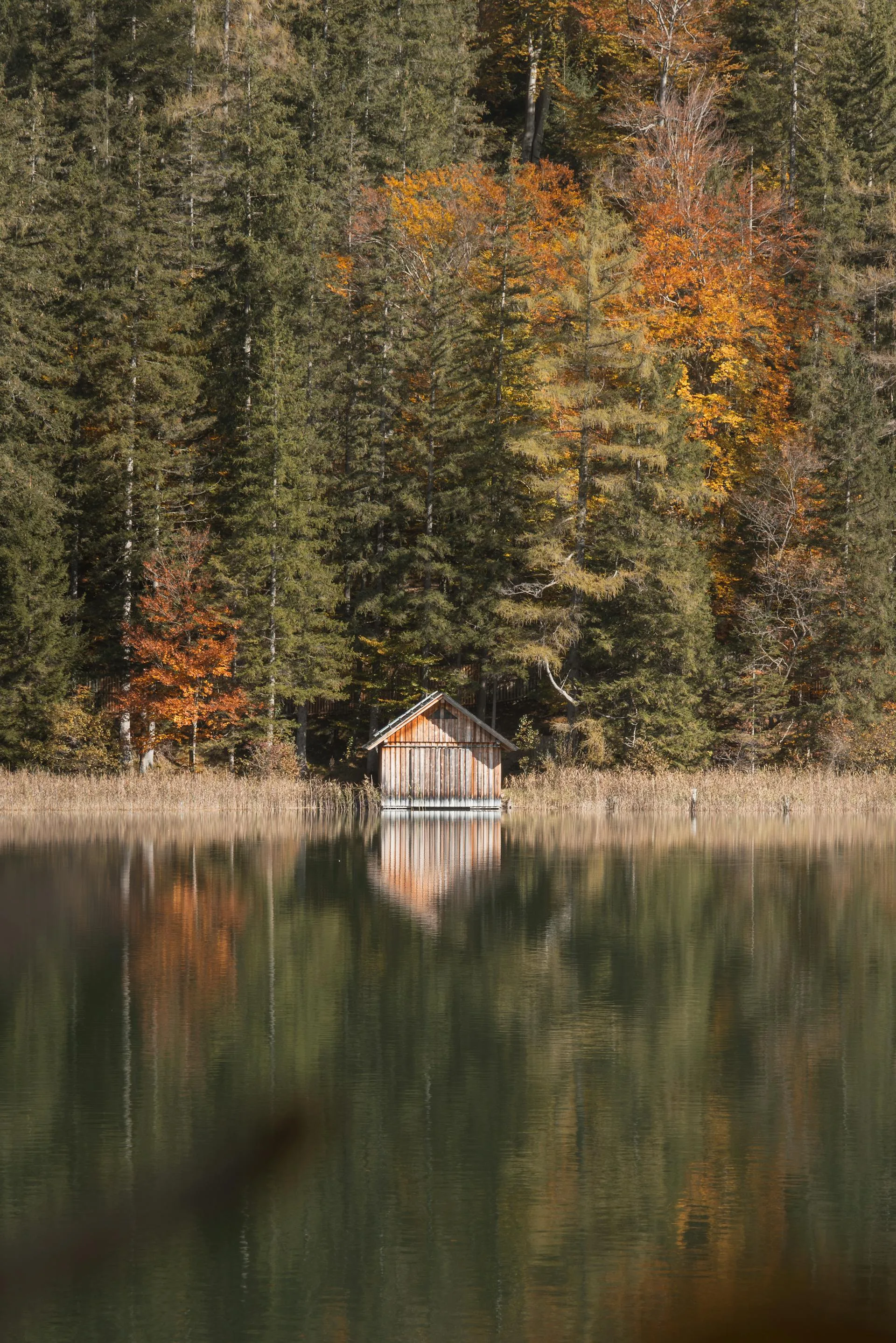 Rustic cabin reflecting on autumn lake