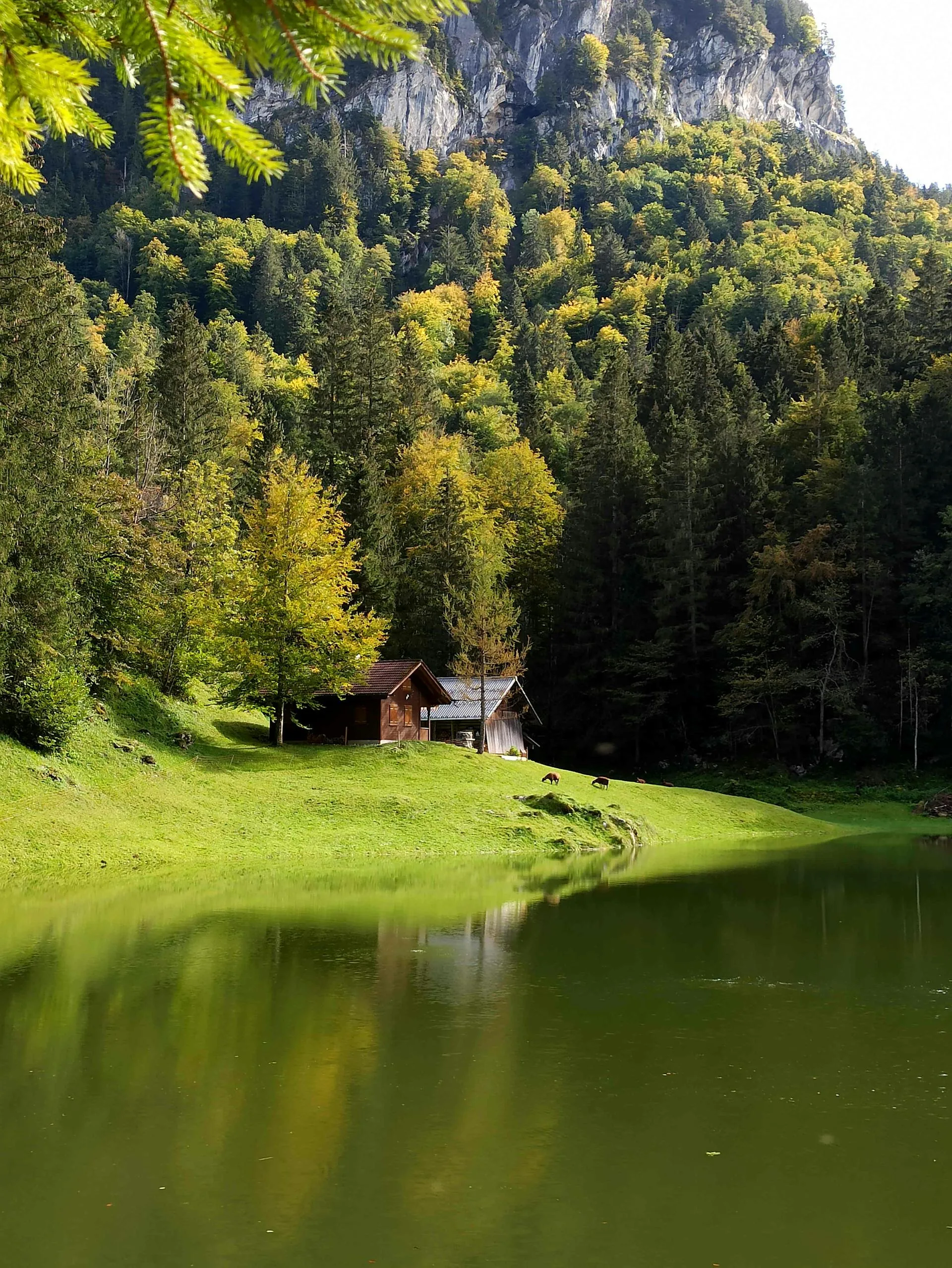 Cabin by forest lake surrounded by mountains