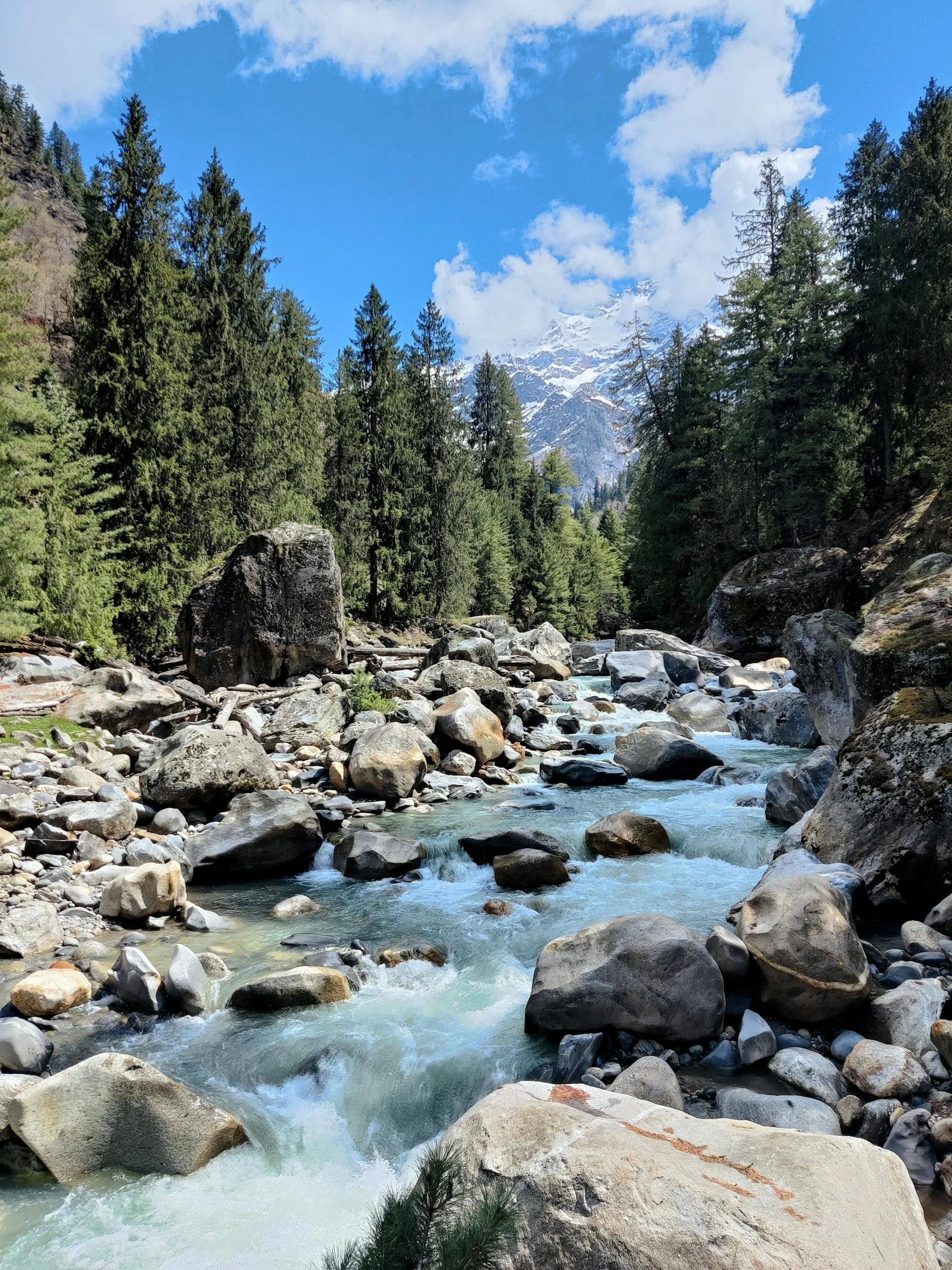 A rocky river in a mountain valley between green trees