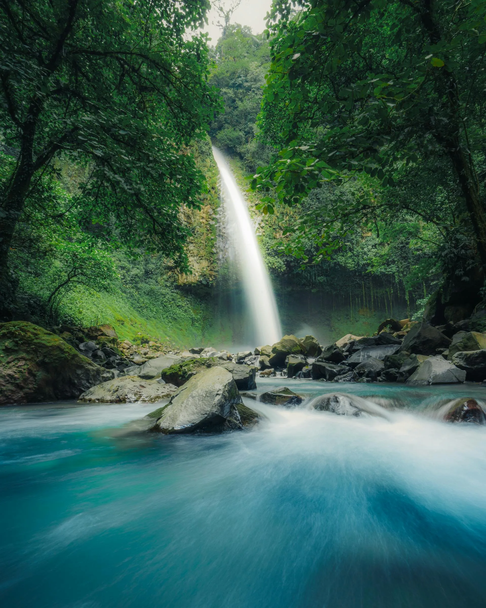 Stunning waterfall amidst vibrant greenery